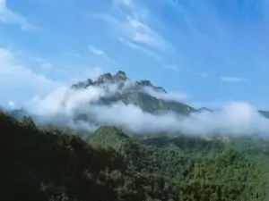 梧州萬(wàn)秀區第三方檢測